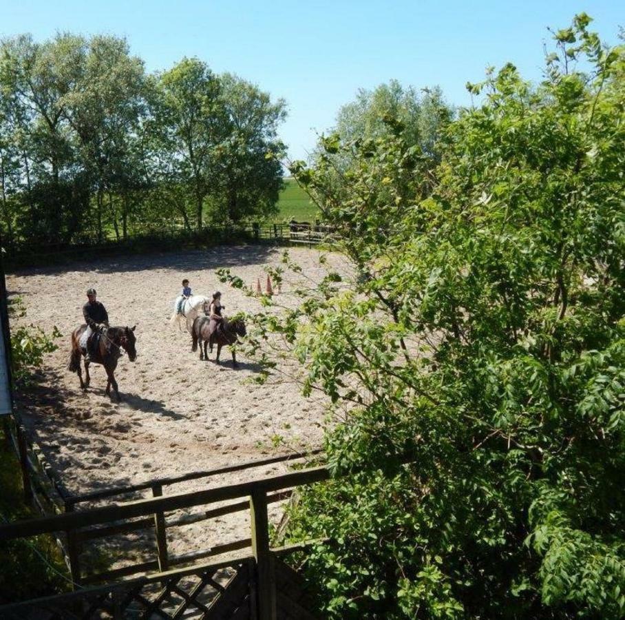 Ferienhof Frerichs Ihr Feriendomizil Am Meer Schillig Eksteriør bilde